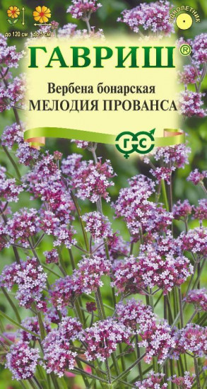 Вербена бонарская «Мелодия прованса»