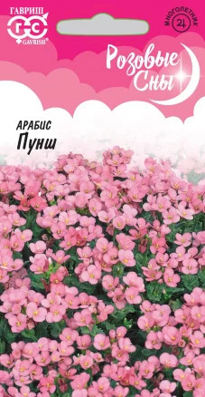 Арабис «Пунш»