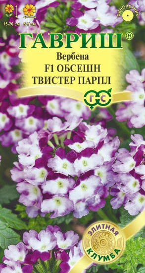 Вербена «Обсешн Твистер парпл F1»