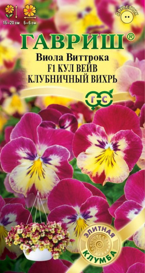 Виола Виттрока «Кул вейв, клубничный вихрь F1»