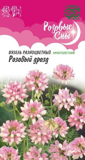 Вязель разноцветный «Розовый дрозд»