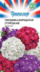 Гвоздика бородатая