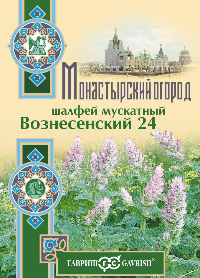 Шалфей мускатный «Вознесенский 24» | Монастырский огород | Гавриш