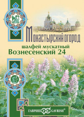 Шалфей мускатный «Вознесенский 24»