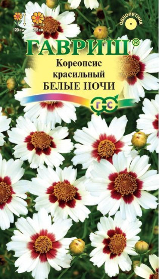 Кореопсис «Белые ночи»