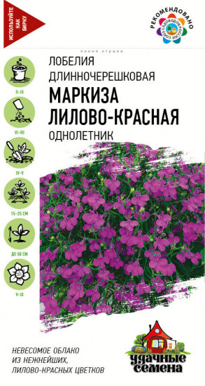 Лобелия «Маркиза»