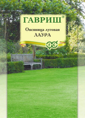 Овсяница луговая «Лаура»