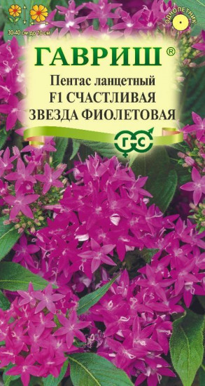 Пентас ланцетный «Счастливая звезда F1»