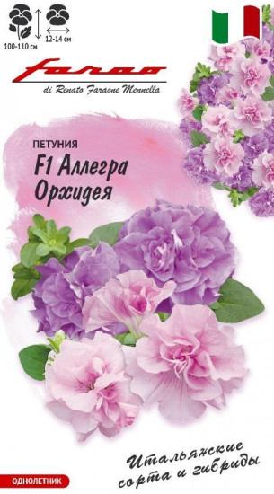 Петуния «Аллегра Орхидея F1»
