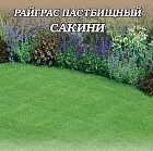 Газон «Райграс пастбищный»