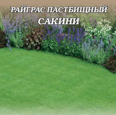 Газон «Райграс пастбищный»