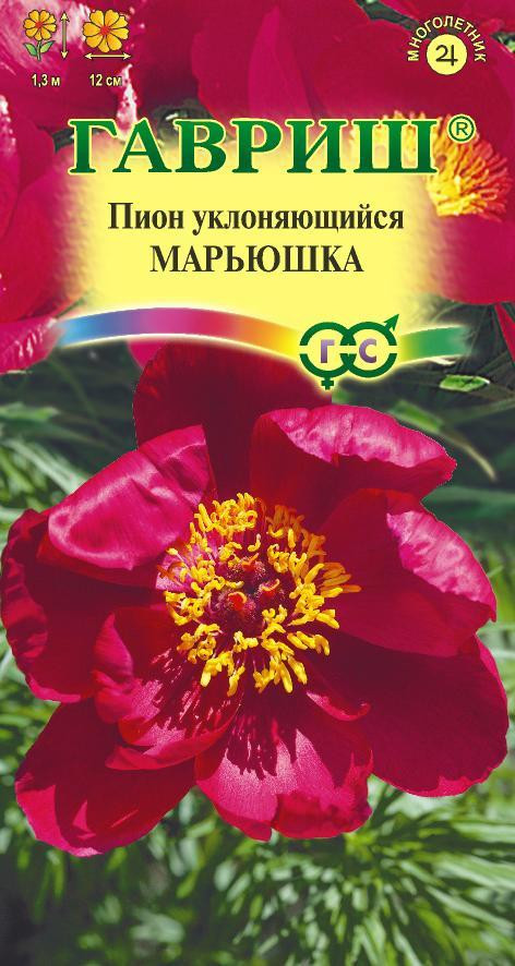 Пион уклоняющийся «Марьюшка» | Гавриш