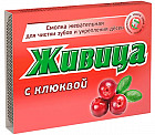 Смолка жевательная с клюквой «Живица»