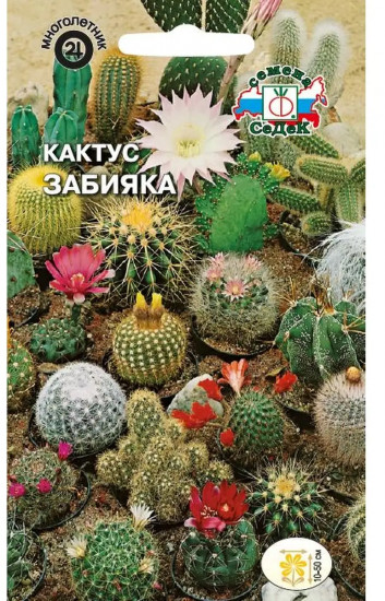 Смесь семян кактуса «Забияка»