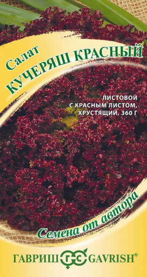 Салат «Кучеряш красный»