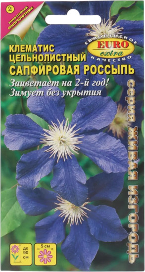 Клематис цельнолистный «Сапфировая россыпь»