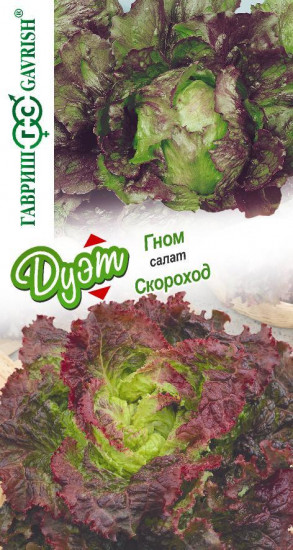 Салат «Скороход» и «Гном»