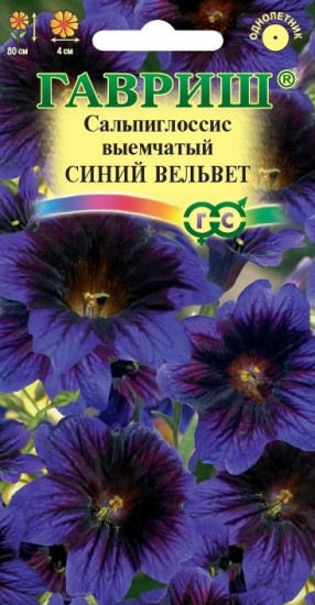 Сальпиглоссис «Синий вельвет»