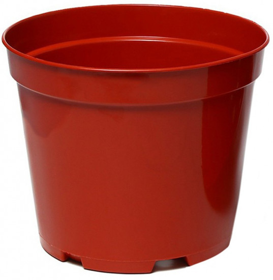 Горшок для рассады