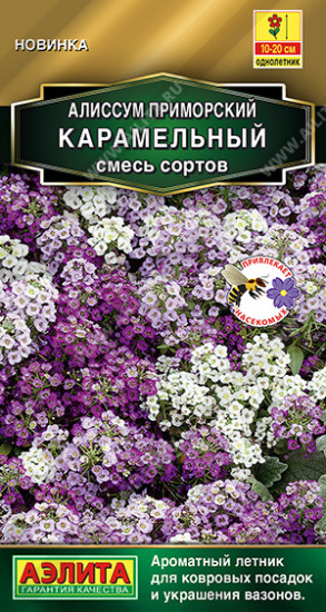 Алиссум «Карамельный»