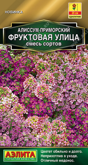 Алиссум «Фруктовая улица»