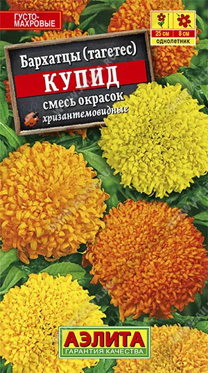 Бархатцы хризантемовидные «Купид»