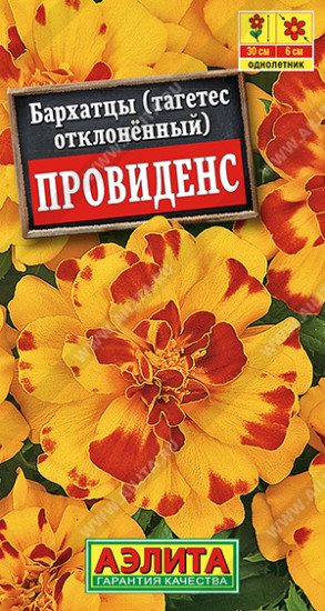 Бархатцы отклоненные «Провиденс»