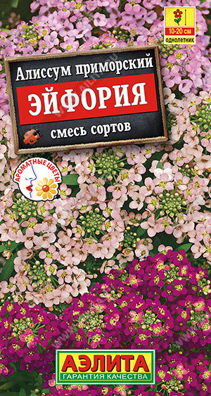 Алиссум «Эйфория» | Аэлита