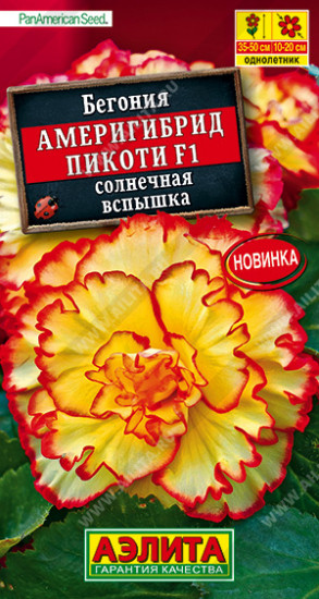 Бегония «Америгибрид Пикоти F1»