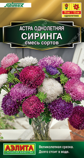 Астра «Сиринга»