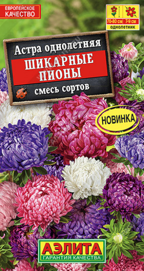 Астра «Шикарные пионы»