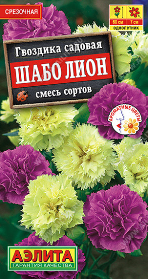 Гвоздика садовая «Шабо Лион»