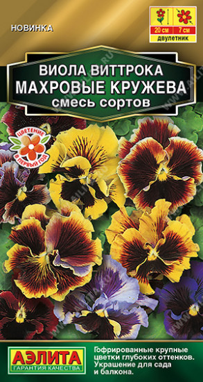 Виола «Махровые кружева»