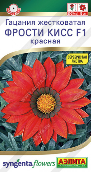 Гацания жестковатая