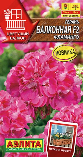 Герань балконная «Фламинго F2»