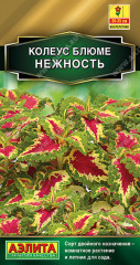 Колеус блюме «Нежность»