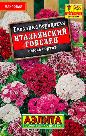 Гвоздика бородатая «Итальянский гобелен, смесь сортов»