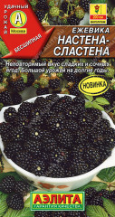 Ежевика «Настена-сластена»