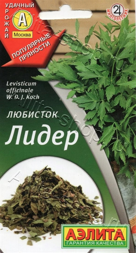 Любисток «Лидер» | Аэлита