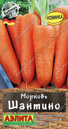 Морковь «Шантино»