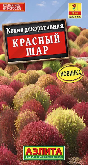 Кохия «Красный шар»