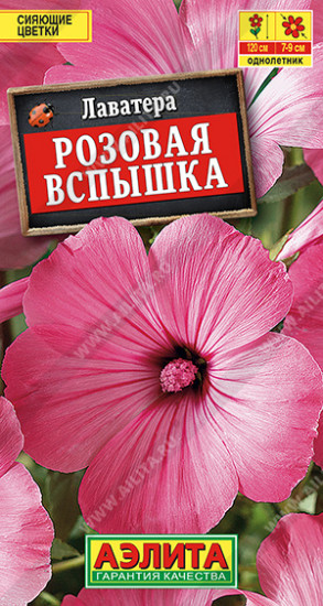 Лаватера «Розовая вспышка»