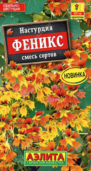 Настурция «Феникс»