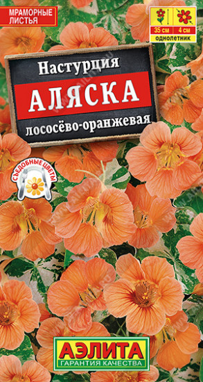Настурция «Аляска лососёво-оранжевая»