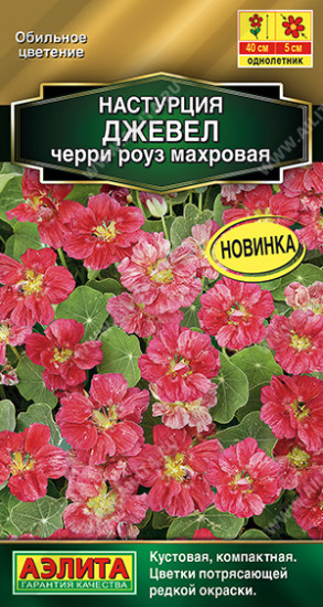 Настурция «Джевел черри роуз махровая»