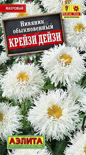 Нивяник «Крейзи дейзи»