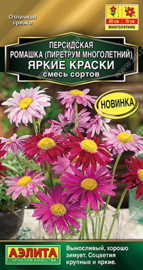 Ромашка персидская «Яркие краски»