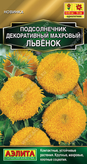 Подсолнечник махровый «Львенок»