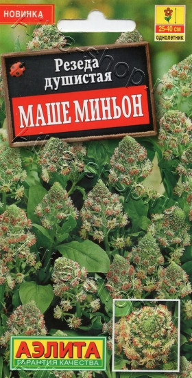 Резеда душистая «Маше миньон»