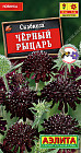 Скабиоза «Черный рыцарь»